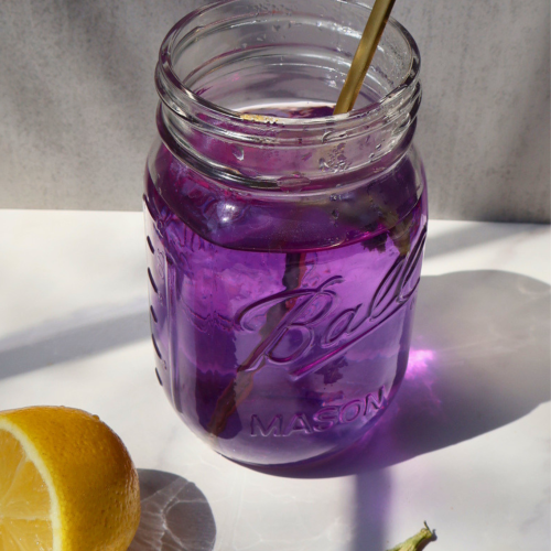 Purple butterfly pea drink in a glass jar with lemon slices and dried flowers on a light background